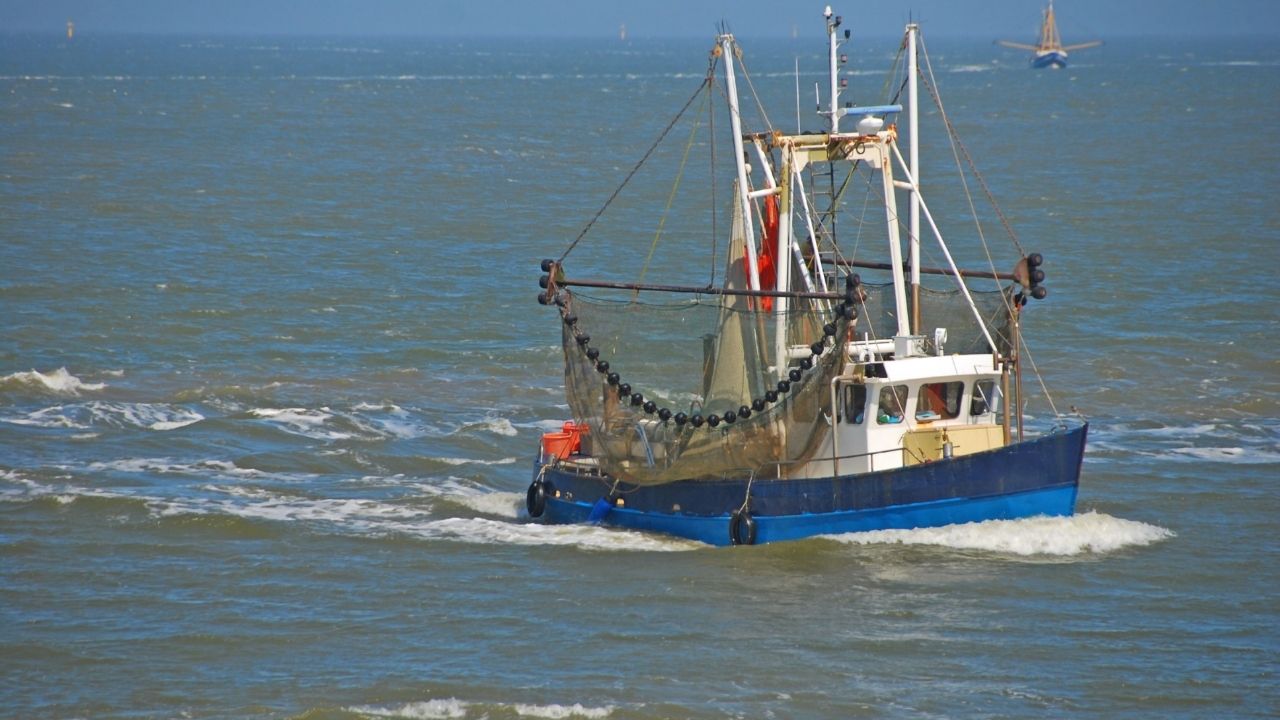 Fishing vessels working at seas, potential impact of the high seas treaty
