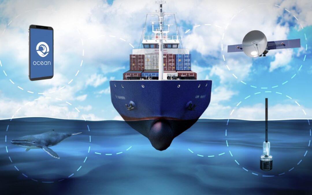 Transforming Maritime Safety Through Innovation